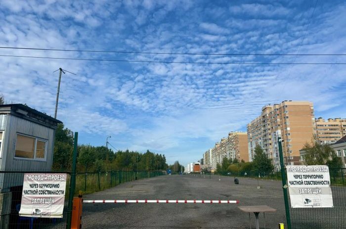 Автовладельцев Янино приглашают вернуться на парковки в районе ул. Голландской